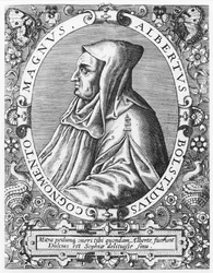 Albertus Magnus